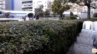 最新更新 亚洲欧美v国产一区二区,日本一二三区视频18🈲